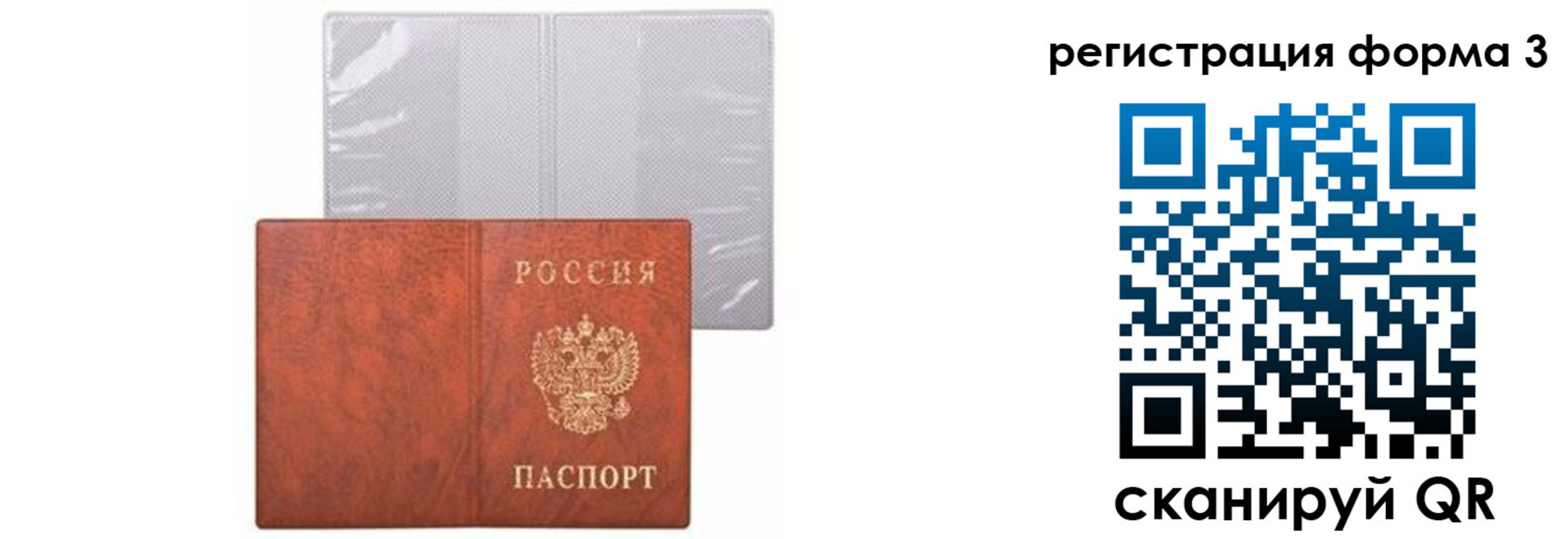 прописка 2025 в Ногинске